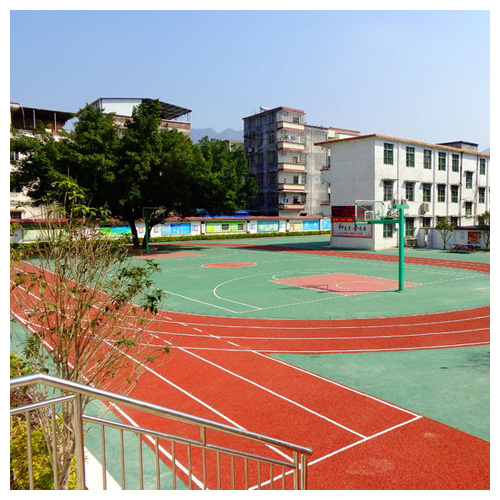 河北区雷公坑小学复合型塑胶跑道